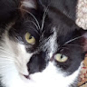 Meet your Posher, Vicky